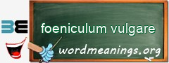 WordMeaning blackboard for foeniculum vulgare